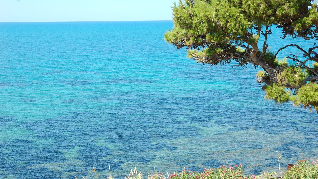 Photo of Others in Termini Imerese