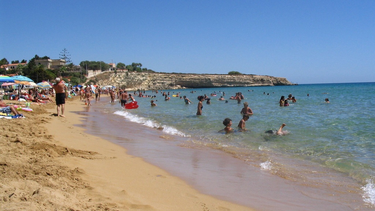 Photo of Others in Gallina