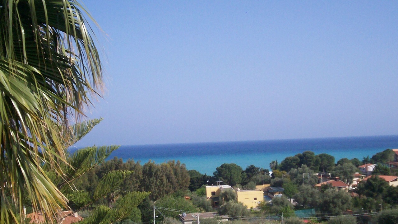 Photo of Others in Gallina