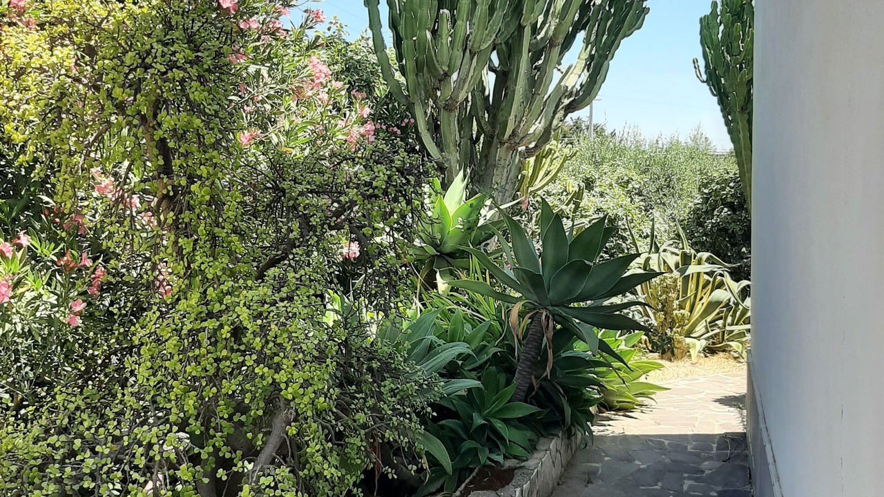 Photo of Outdoor in Campobello di Licata