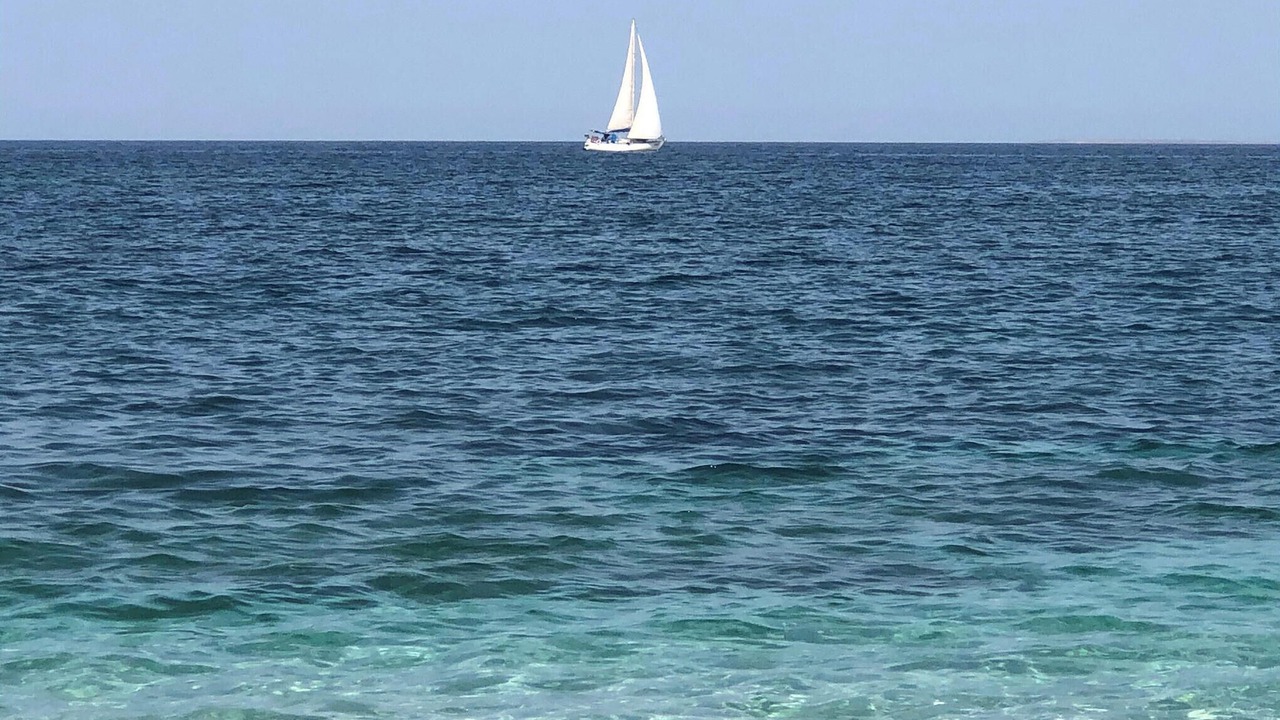 Photo of Others in Custonaci