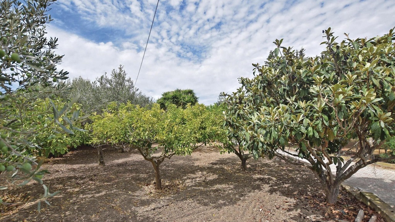 Photo of Others in Licata
