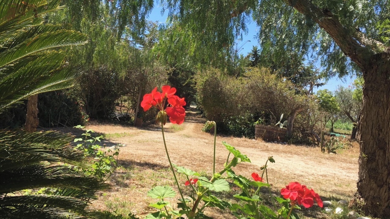Photo of Outdoor in Sciacca