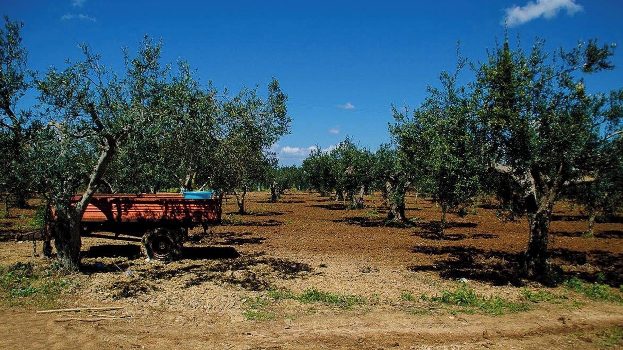 Photo of Outdoor in Sciacca