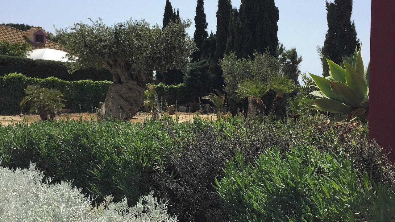 Photo of Outdoor in Sciacca