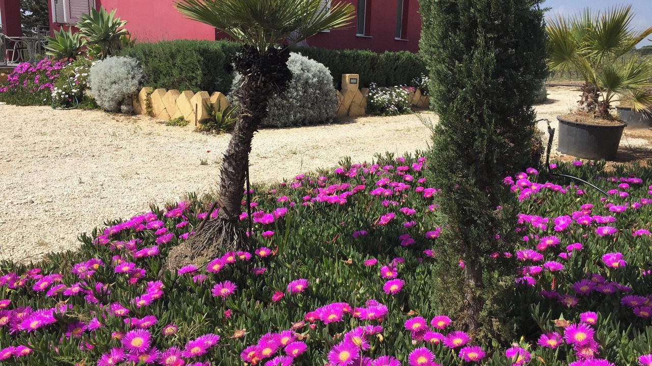 Photo of Outdoor in Sciacca