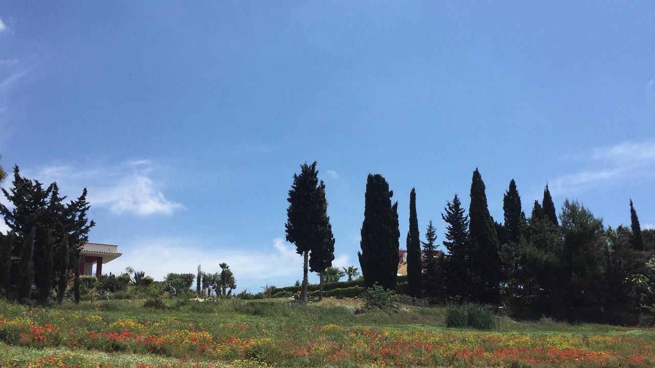 Photo of Outdoor in Sciacca