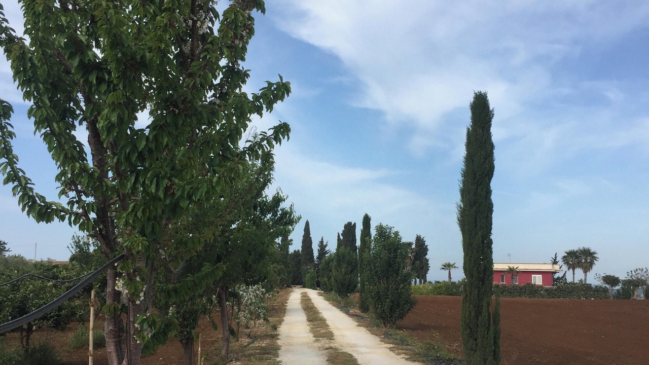 Photo of Outdoor in Sciacca