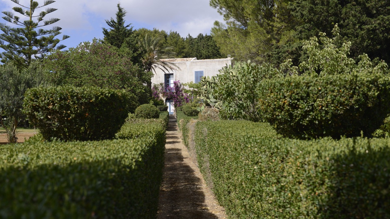 Photo of Outdoor in Salemi