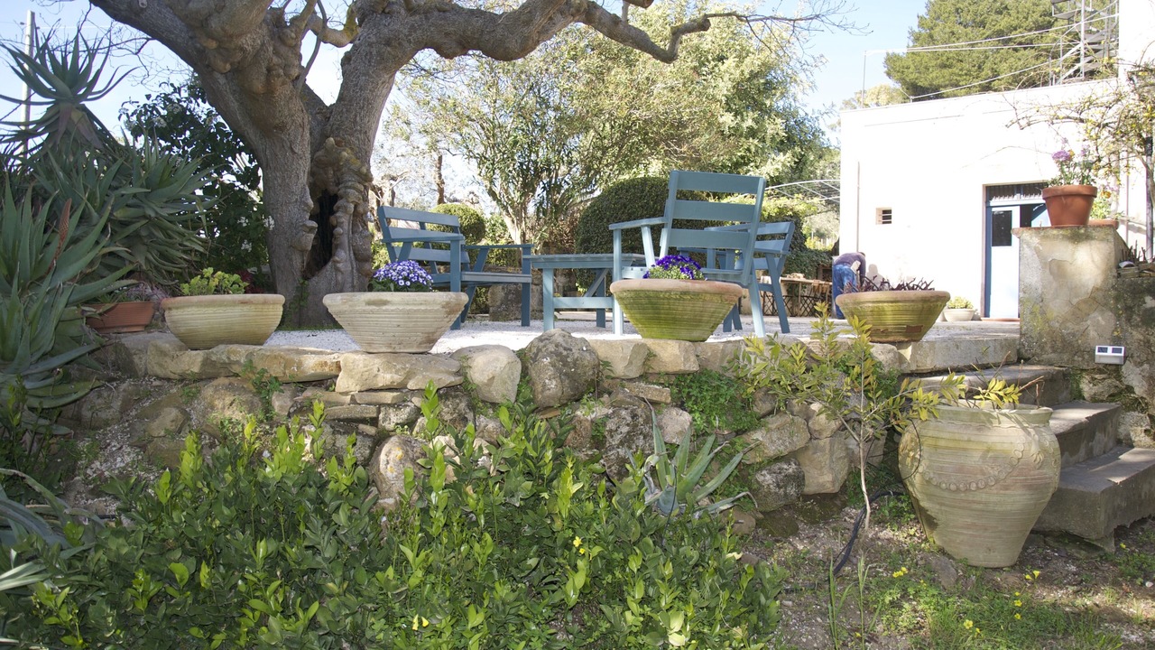 Photo of Outdoor in Salemi