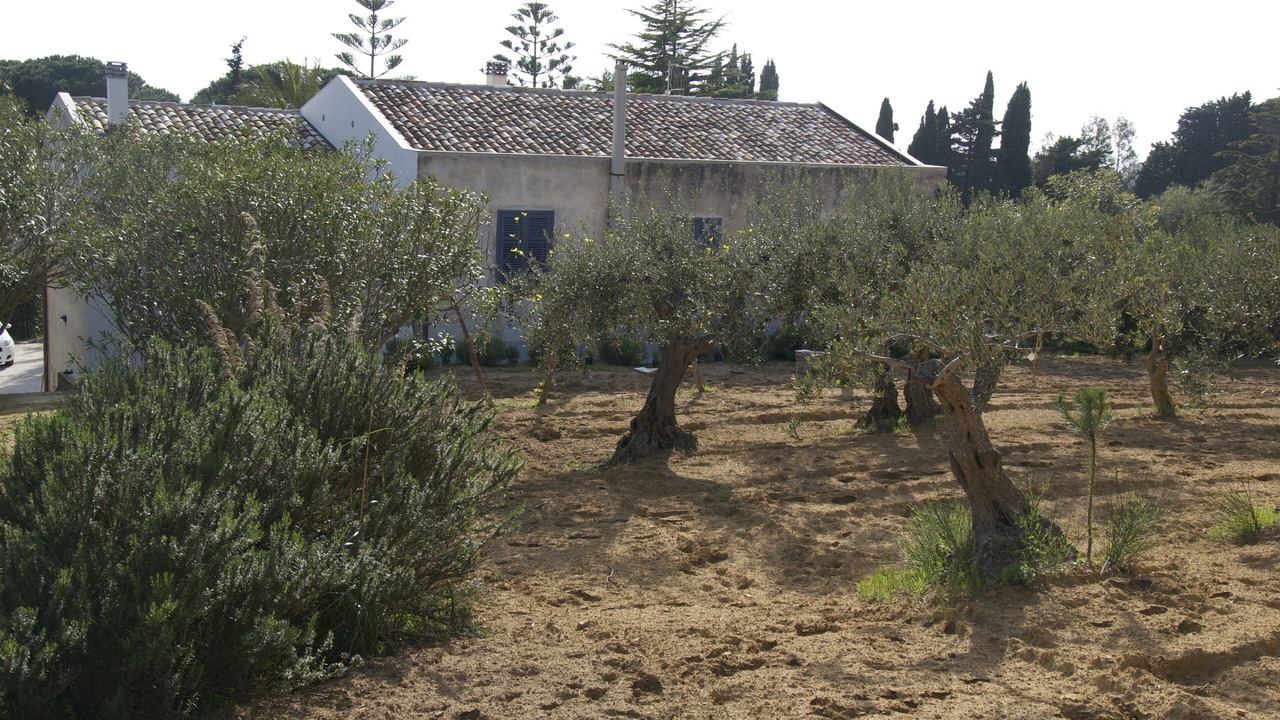 Photo of Outdoor in Salemi