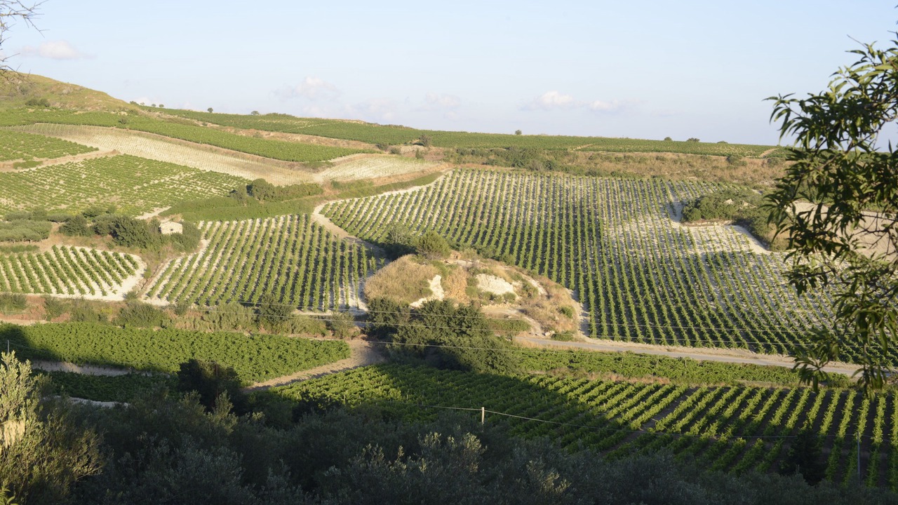 Photo of Outdoor in Salemi