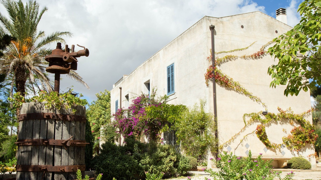 Photo of Outdoor in Salemi
