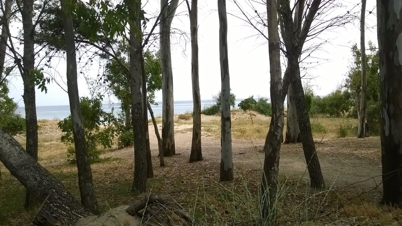 Photo of Outdoor in Furnari
