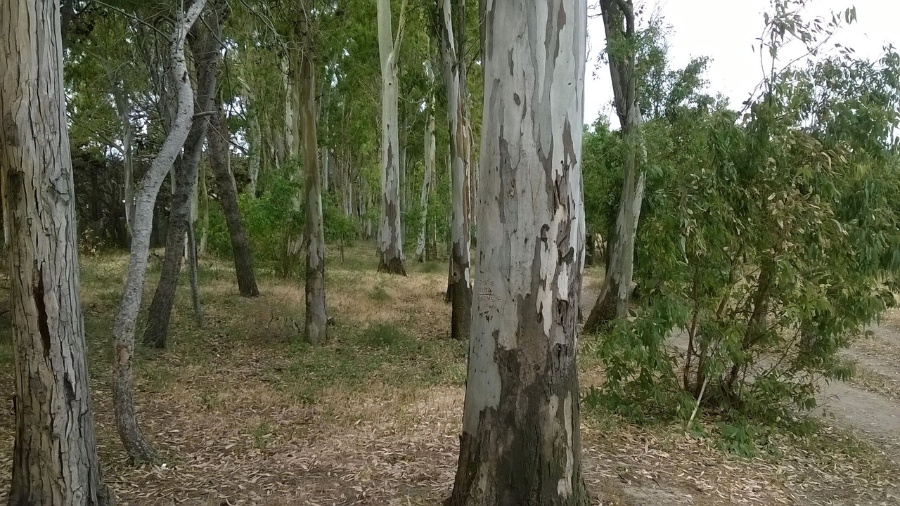 Photo of Outdoor in Furnari