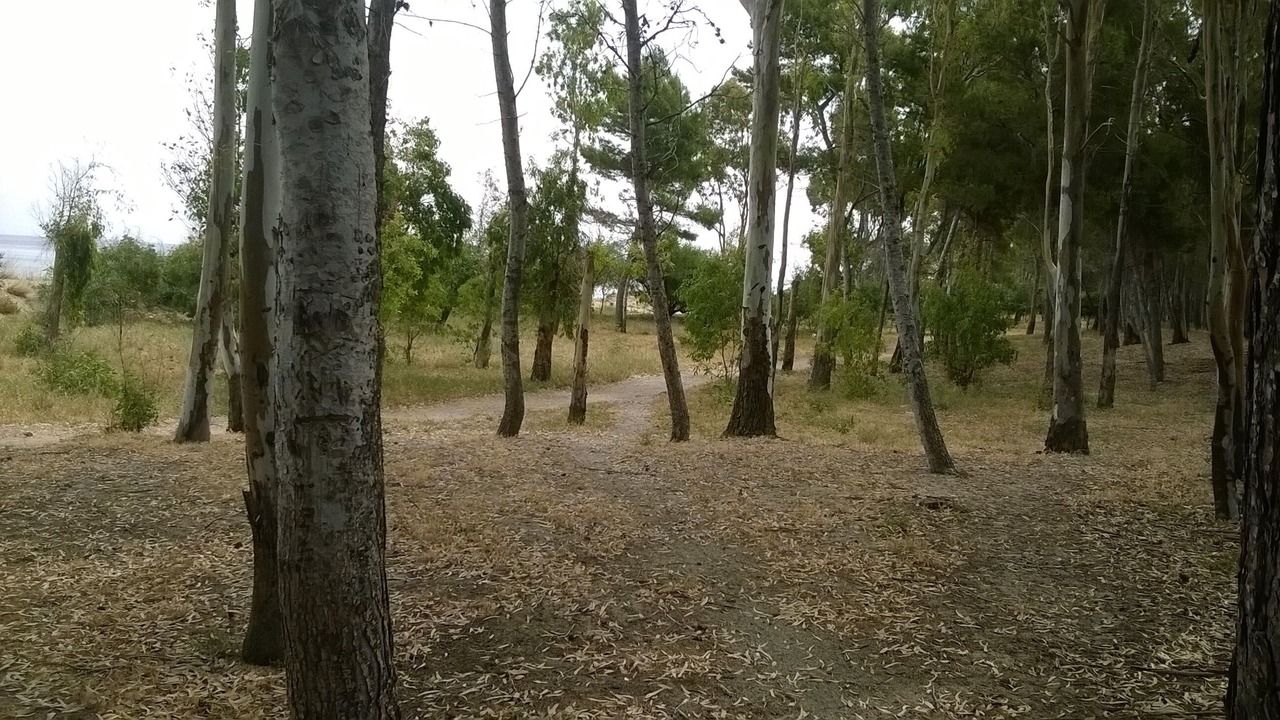 Photo of Outdoor in Furnari