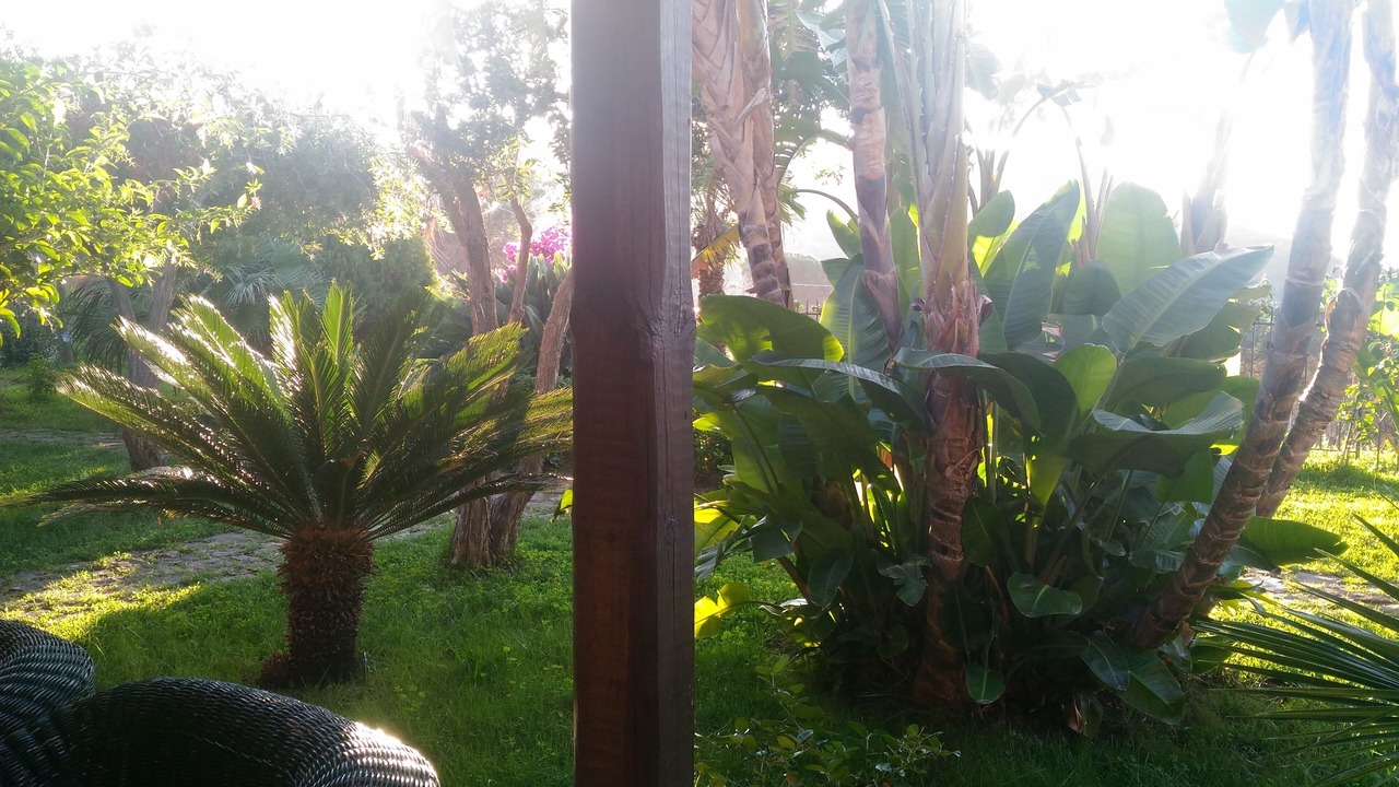 Photo of Outdoor in Cefalu