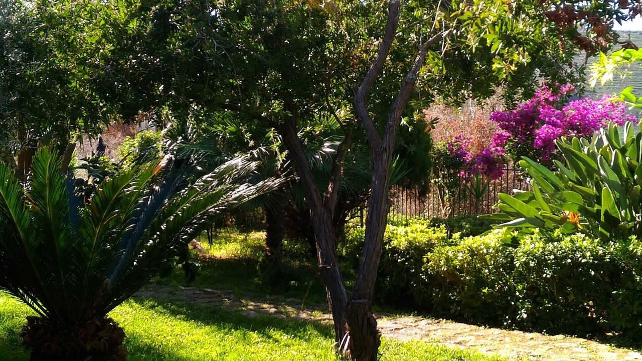 Photo of Outdoor in Cefalu