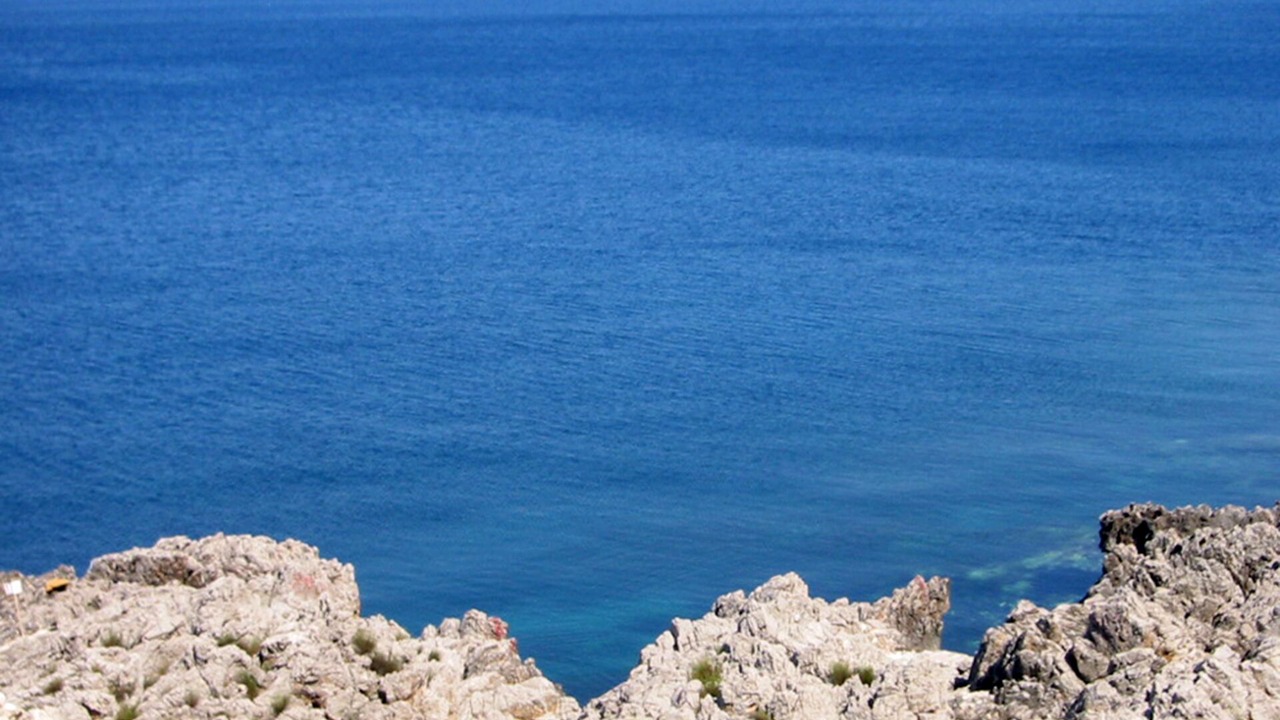 Photo of Others in Zarbo di Mare