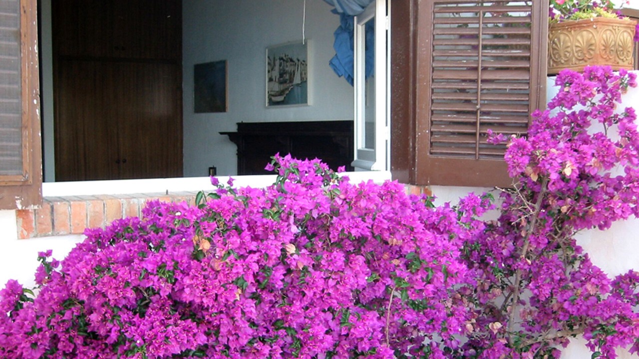 Photo of Others in Zarbo di Mare