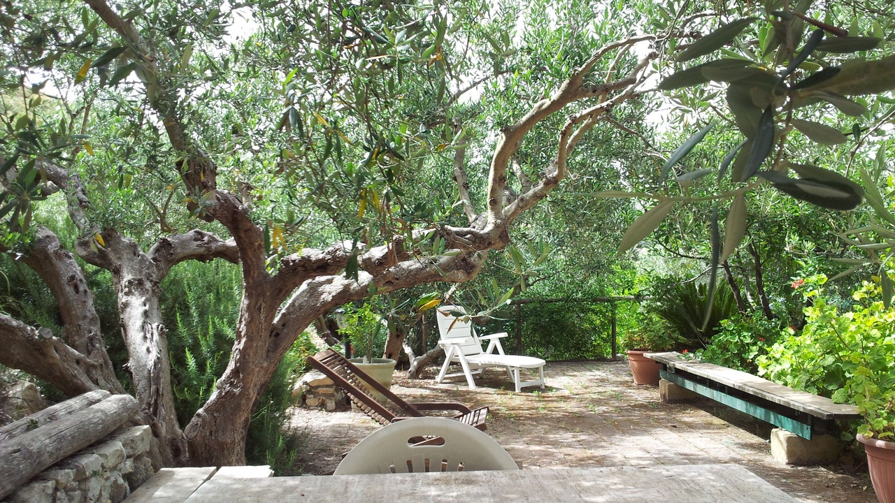 Photo of Patio Balcony in Castellammare del Golfo