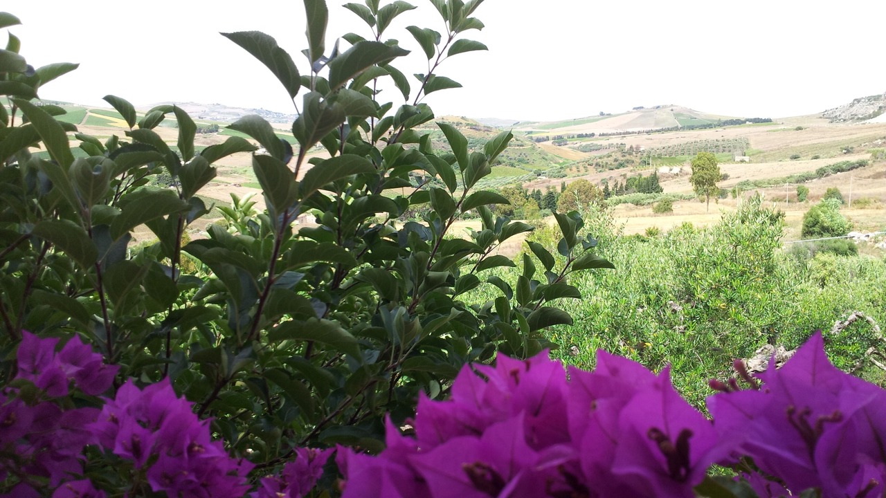 Photo of Outdoor in Castellammare del Golfo