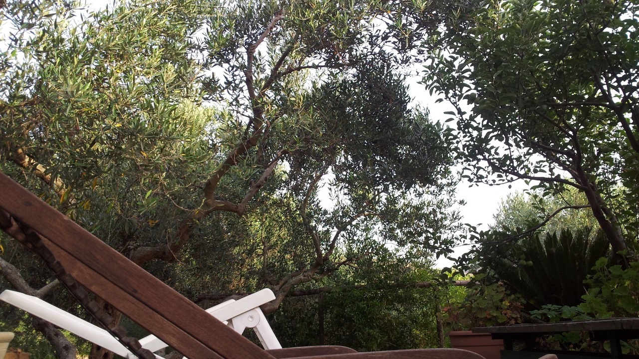 Photo of Outdoor in Castellammare del Golfo