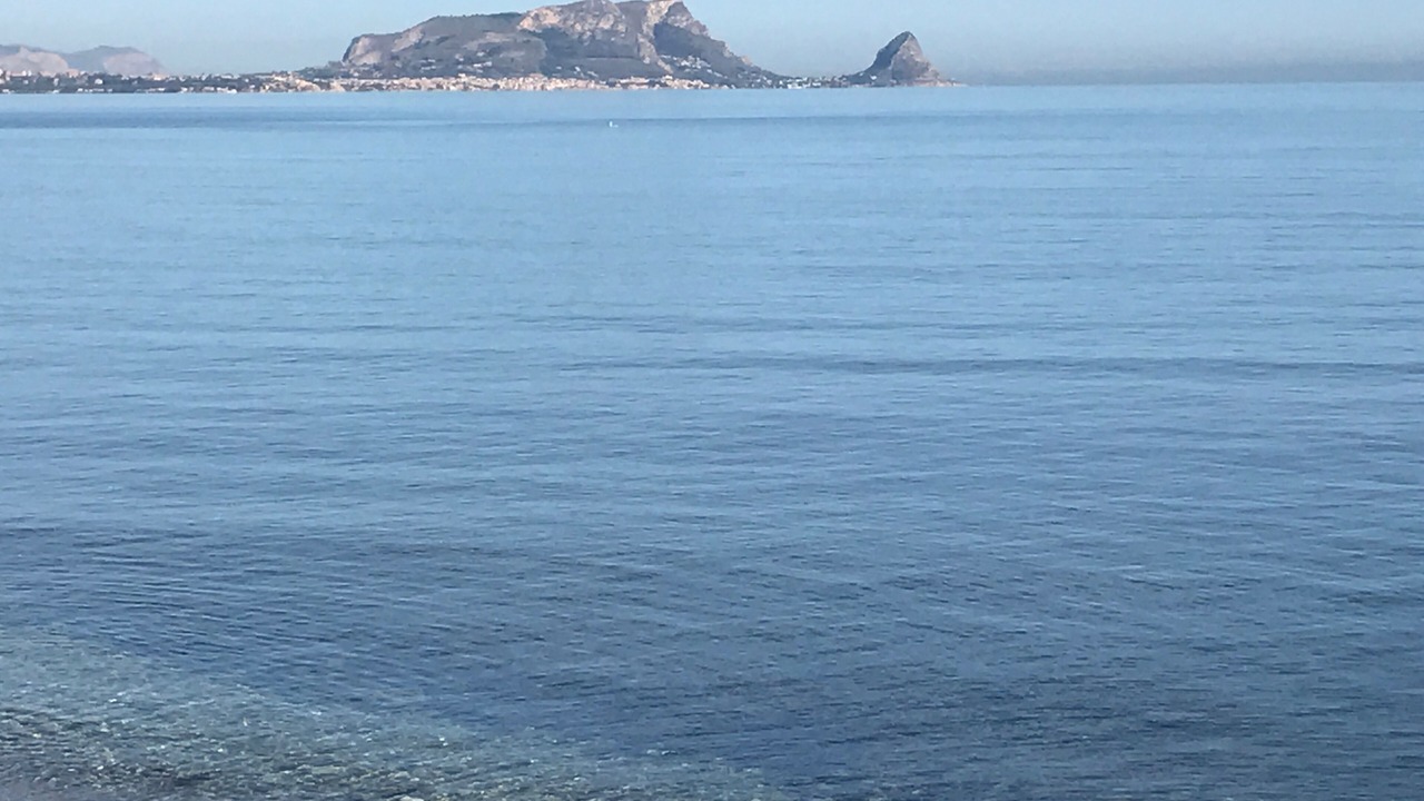 Photo of Others in Trabia