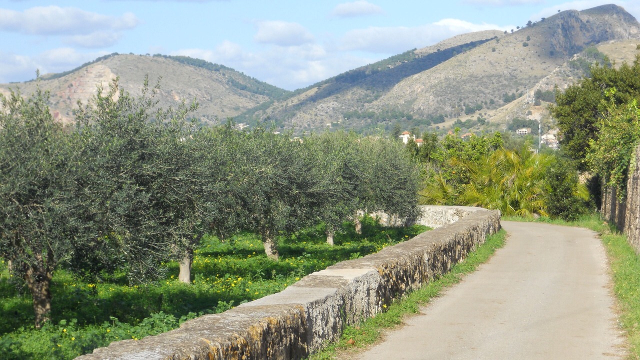 Photo of Outdoor in Santa Flavia