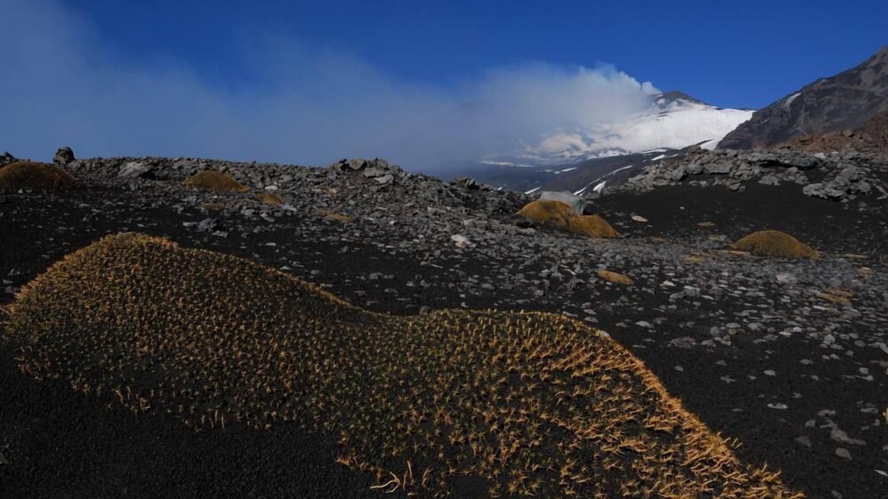 Photo of Outdoor in Mascali
