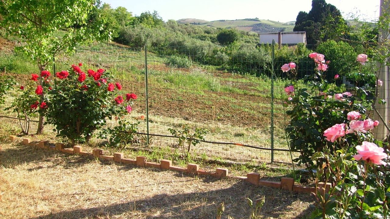 Photo of Others in Calatafimi