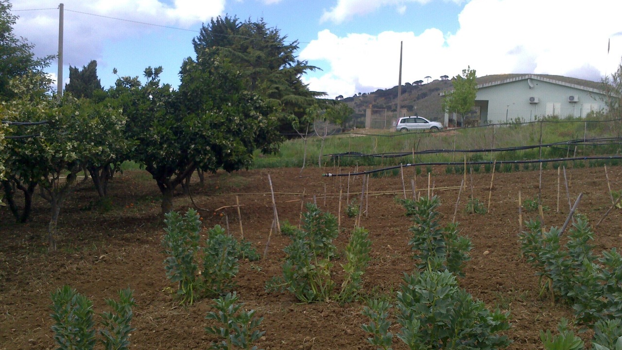 Photo of Outdoor in Calatafimi