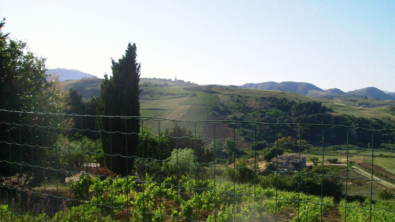 Photo of Outdoor in Calatafimi
