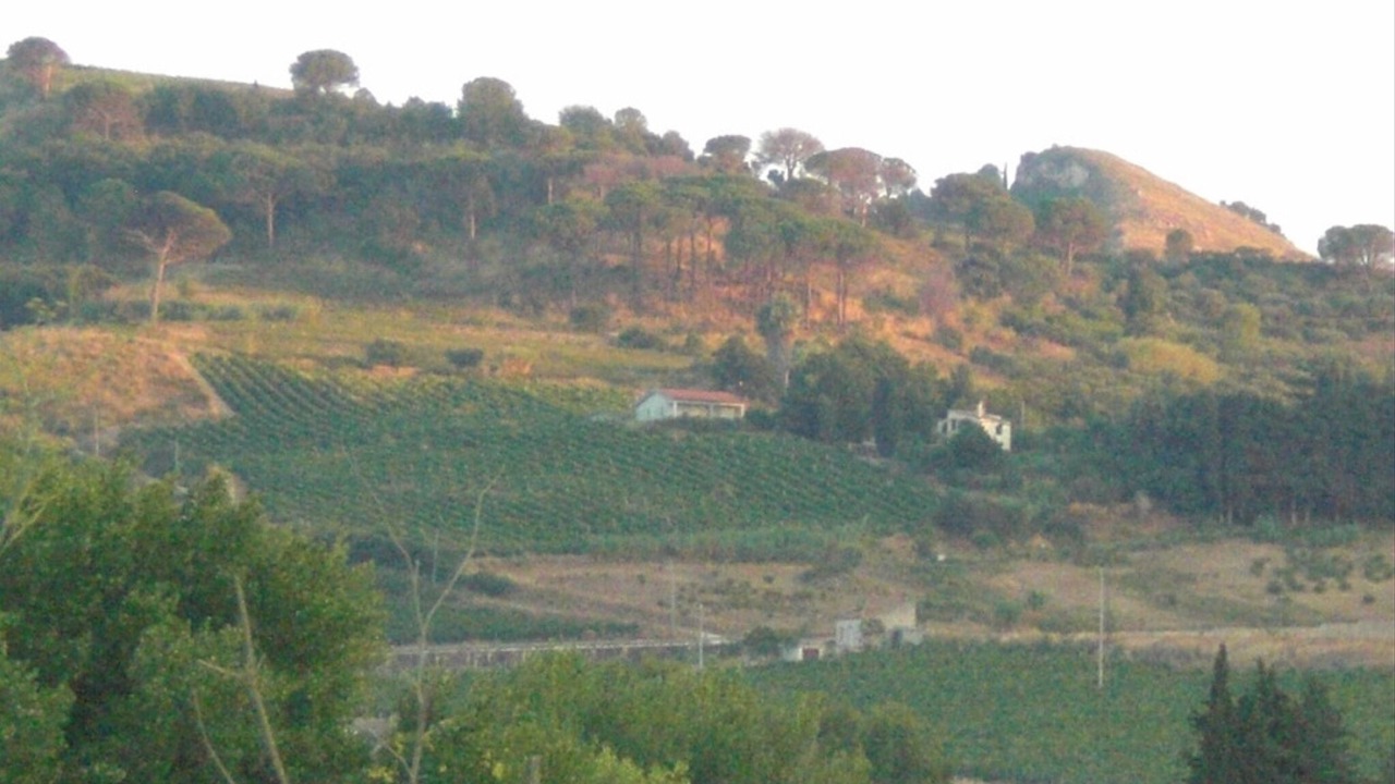 Photo of Outdoor in Calatafimi