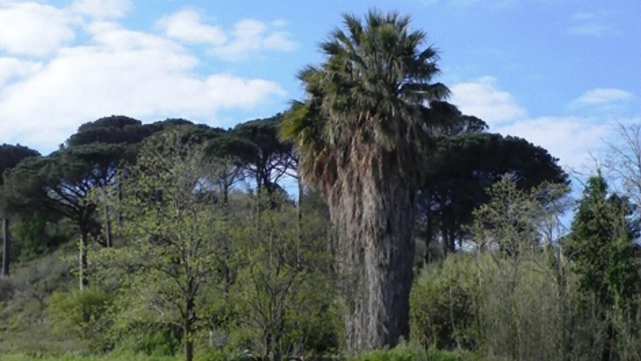 Photo of Outdoor in Calatafimi