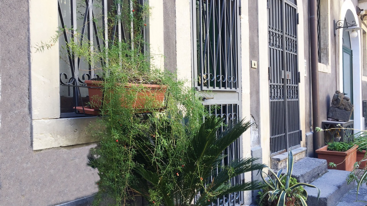 Photo of Outdoor in Catania City Centre