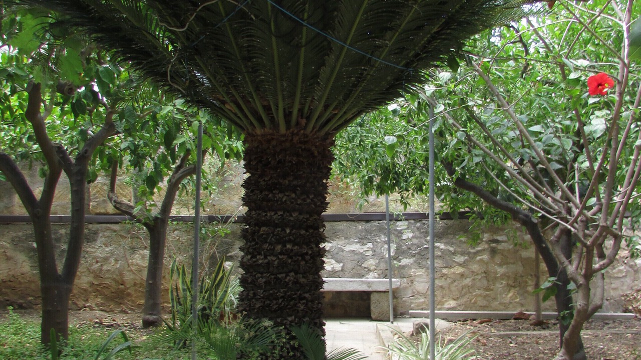 Photo of Outdoor in Casa Santa