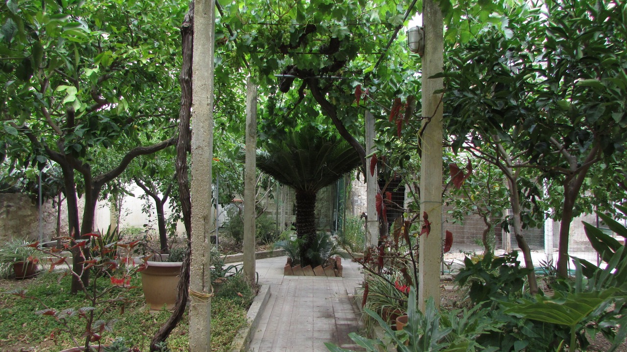 Photo of Outdoor in Casa Santa