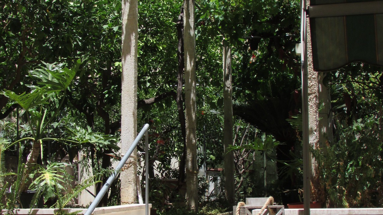 Photo of Outdoor in Casa Santa