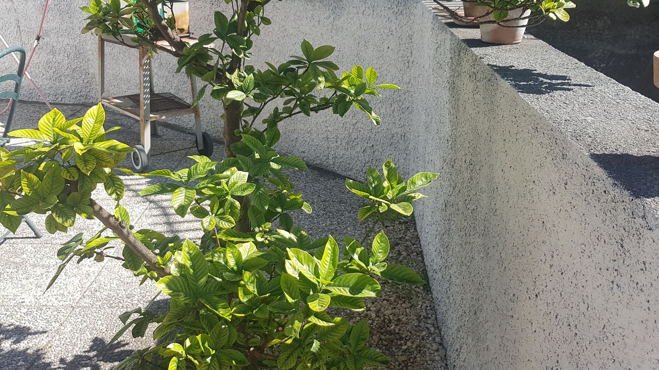 Photo of Outdoor in Cannizzaro