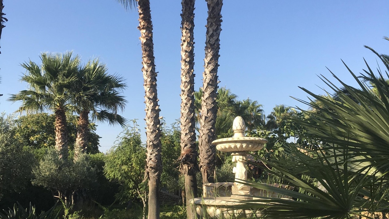 Photo of Outdoor in Partanna