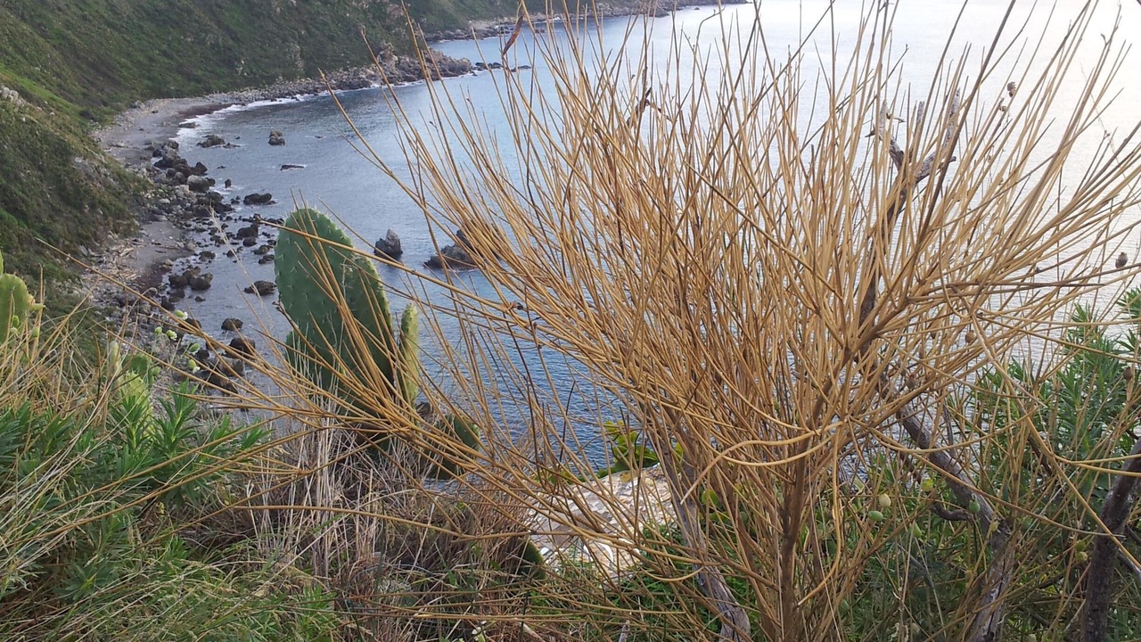 Photo of Outdoor in Milazzo
