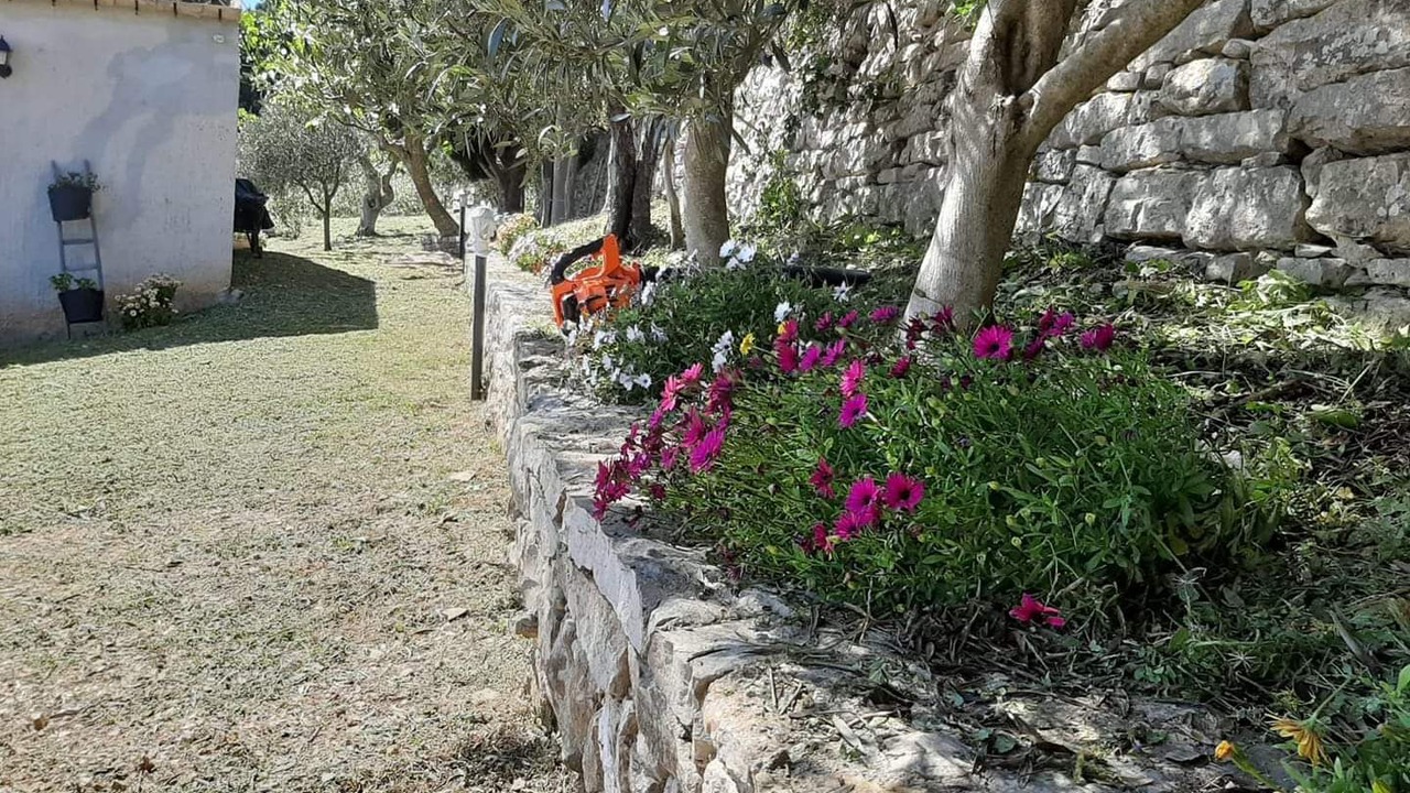 Photo of Outdoor in Erice