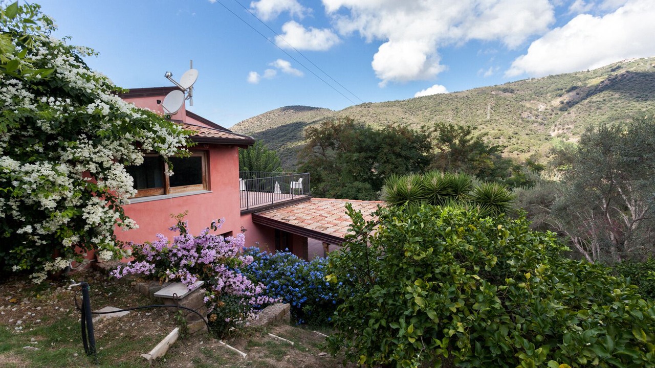 Photo of Outdoor in Mirto