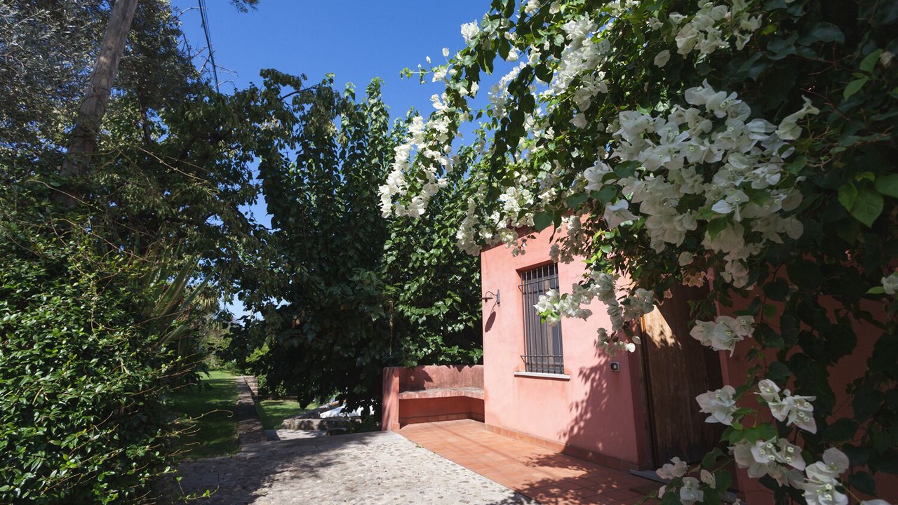Photo of Outdoor in Mirto