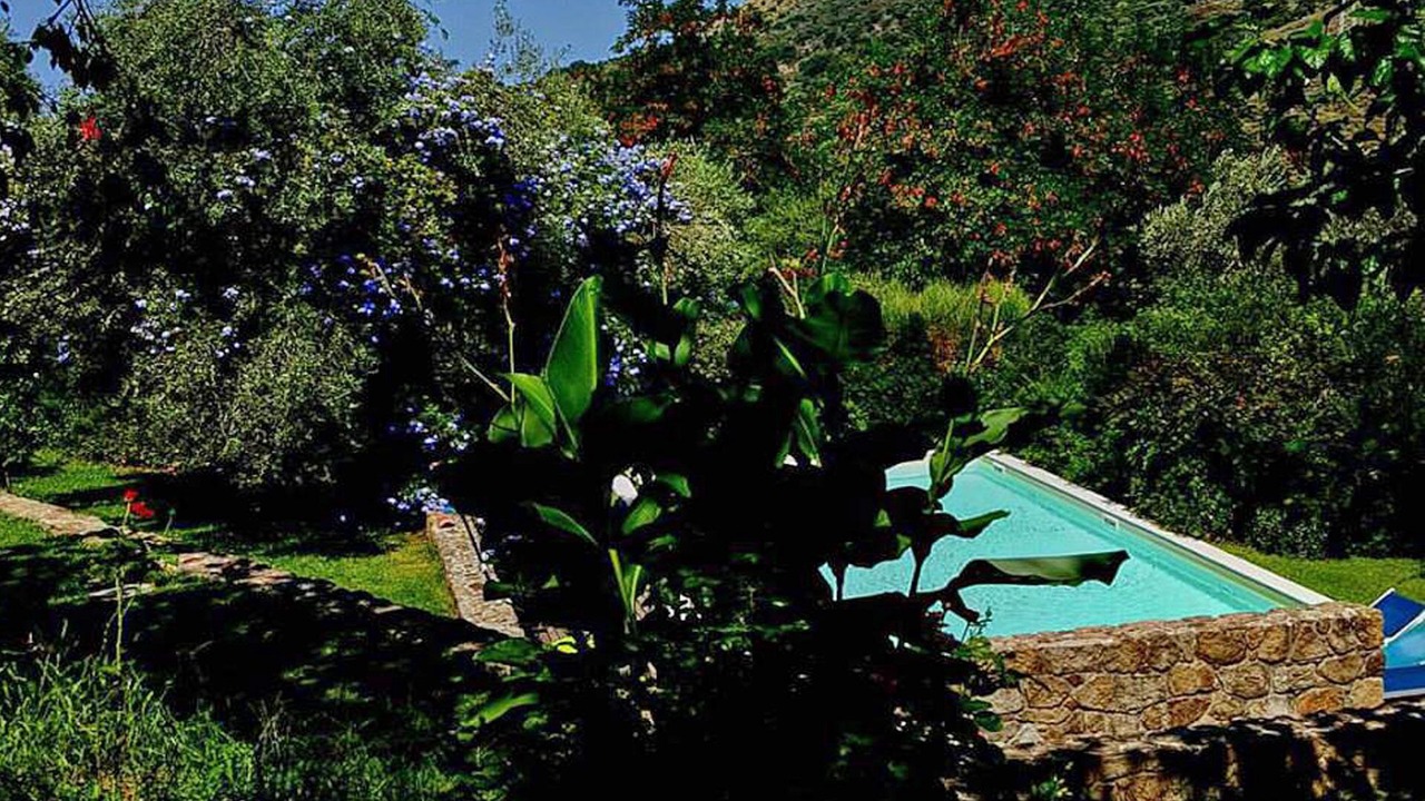 Photo of Outdoor in Mirto