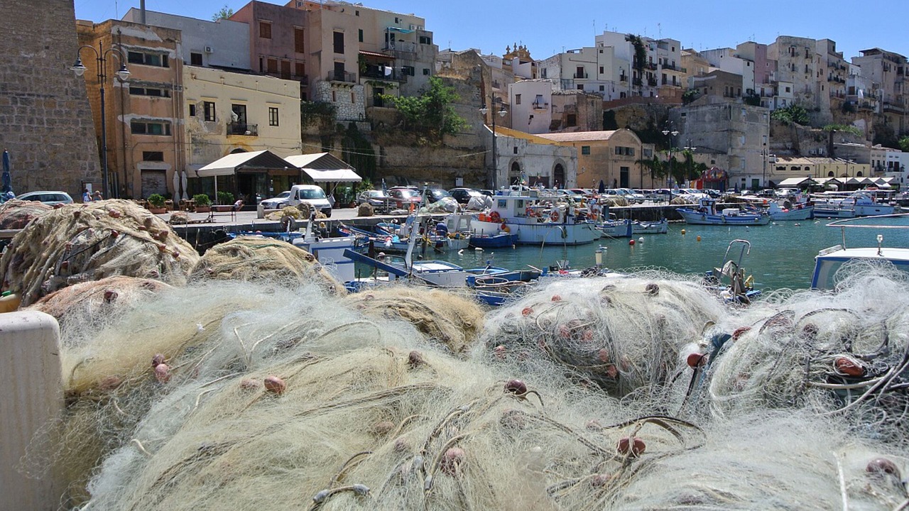 Photo of Others in Alcamo Marina