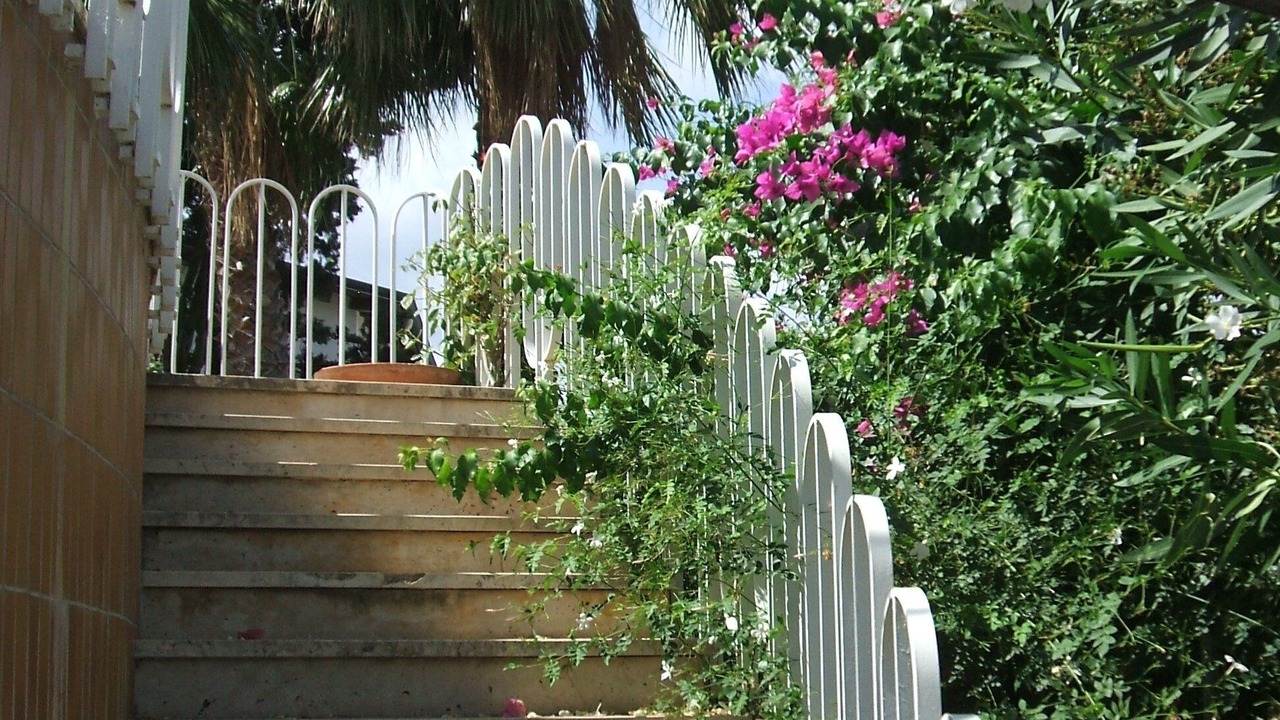 Photo of Outdoor in Alcamo Marina