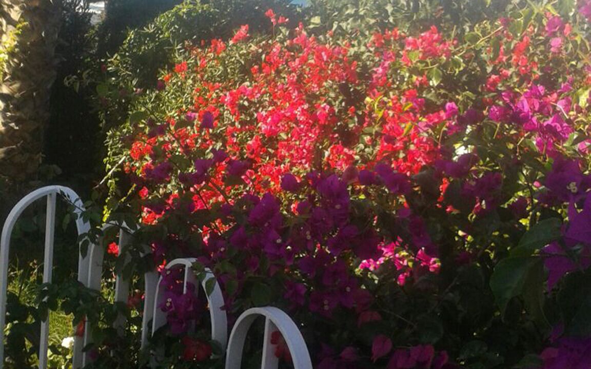 Photo of Outdoor in Alcamo Marina
