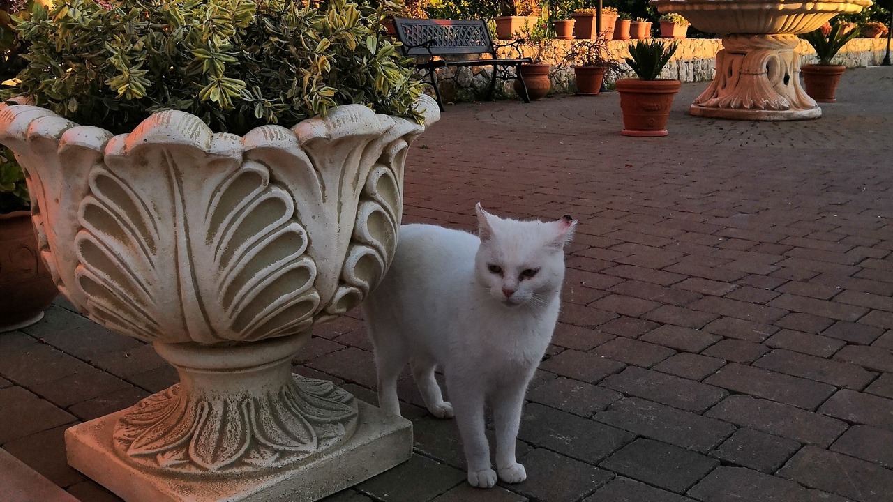 Photo of Outdoor in Floridia